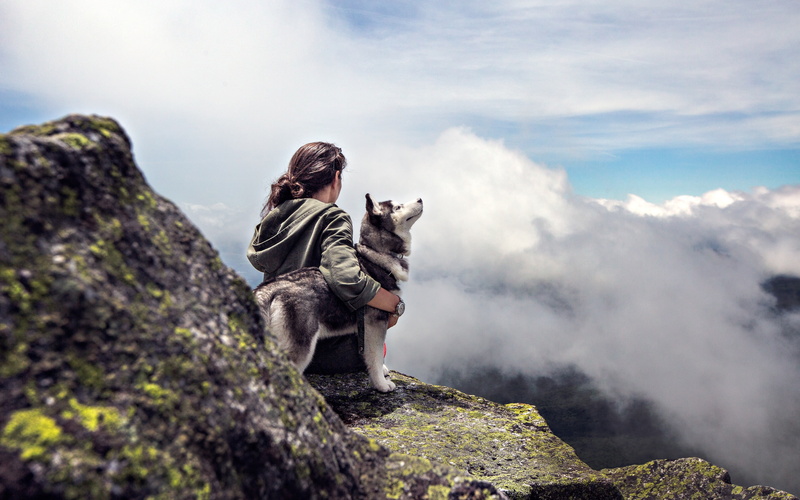 mountain, stones, girl, husky, sky, clouds, adventure, 2K, rocks, dog, lookout, woman