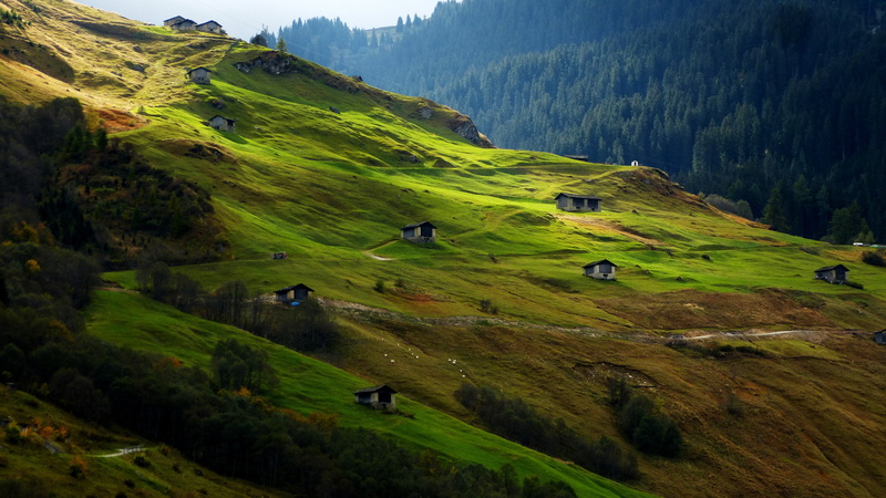 canton, outdoors, vals, WOW, slope, 4K, svizzera, विट, houses, graubunden, nature, europe, green Color, green, landscape, ladera, switzerland, grass, Schweiz