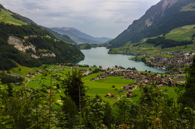 tree, switzerland, water, sky, landscape, bergsee, crystal clear, alpine lake, mountains, high angle view, growth, scenics - nature, cloud - sky, tranquil scene