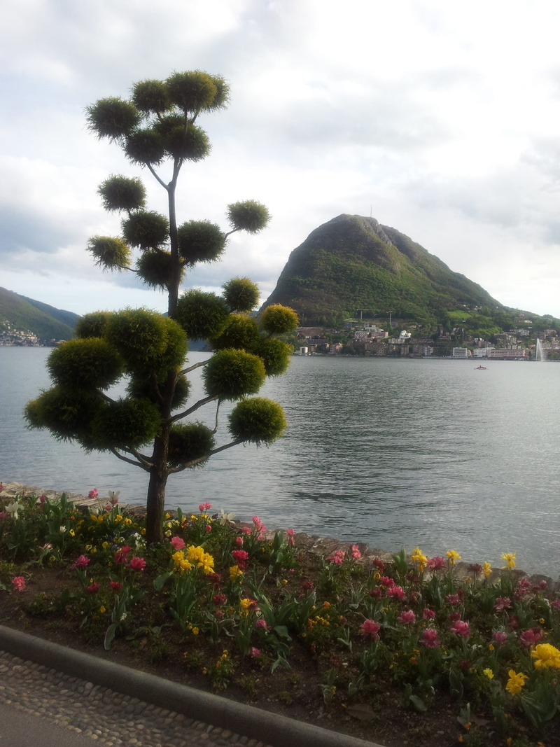 beauty in nature, Water, freshness, flower, tree, mountain, cloud - sky, no people, tranquil scene, plant, Lugano, 2K, tranquility, lugano, day, scenics - nature