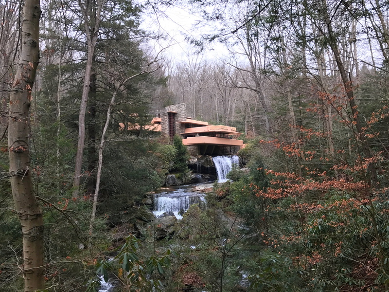 house, fallingwater, tree trunk, united states, no people, river, water, donegal, trees, 4K, tranquil scene, beauty in nature, nature, land, pennsylvania