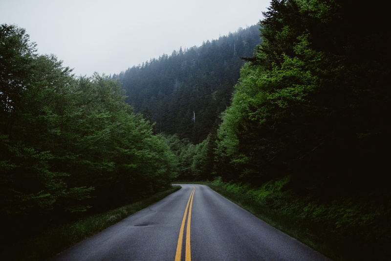 blue ridge mountain, outdoor, empty, road marking, surrounded, blue ridge, adventure, tranquility, double yellow line, background, street, mount mitchell state park