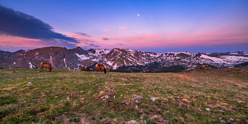 10mm, belt of venus, elk, rocky mountain national park, x-e1, meadow, sky, twilight, f/2.8, ranges, Trail, 4K, rokinon, Things, colorado, fuji, landscape
