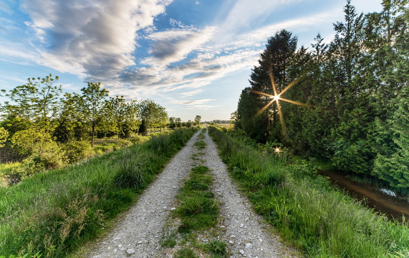 maple ridge, the way forward, sun, land, rural, landscape, growth, wide angle, cloud - sky, road, sunrise, outdoors, green, yellow, tree, tourism, sunset