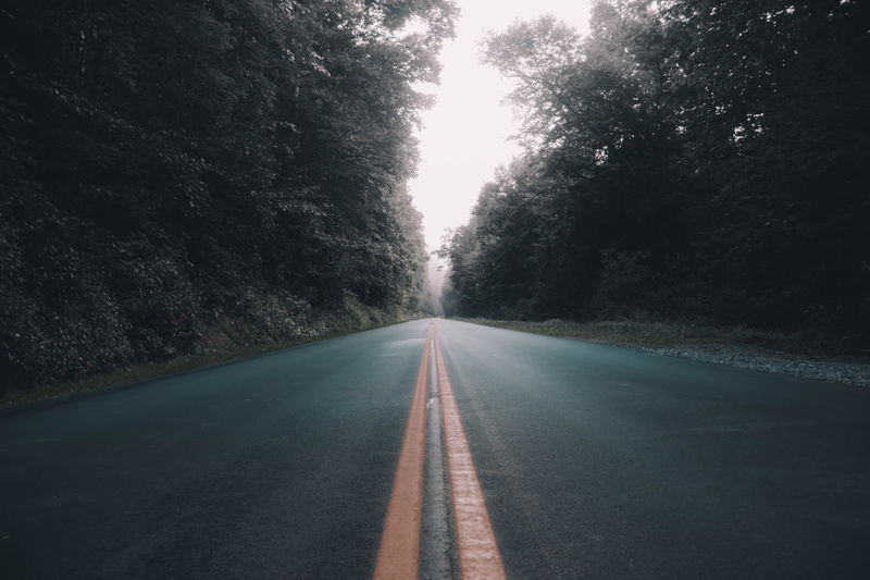 road, transportation, united states, nature, forest, day, mountain, plant, 5K, tree, direction, asphalt, country, tranquility, trail, dividing line, marking