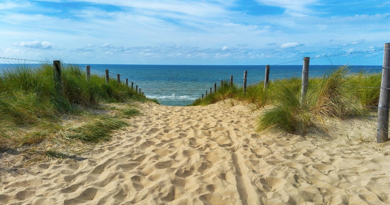 water, plant, dune ridge, dune grass, photography, tranquility, cloud - sky, marram grass, 5K, horizon over water, sea, tranquil scene, no people, landscape photography