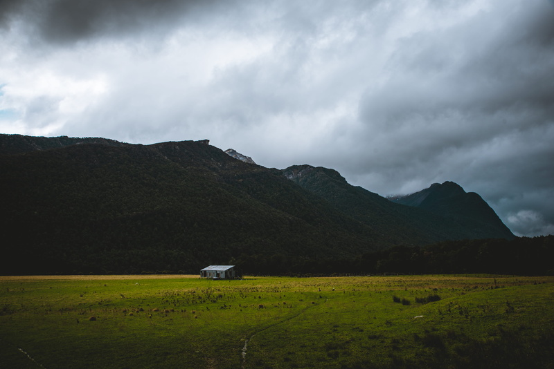daytime, grass, 5K, storm, distance, environment, wooden, cloudy, ridge, fiordland national park, beauty in nature, landscape, sky, tranquility, outdoors