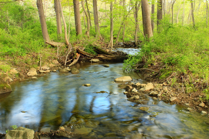 New Jersey, forest, spring, Warren County, Streamside, Old Farm, water, waterfall, hiking, Bacon, Independence Township, outdoors, stream, creative commons