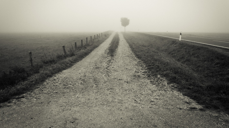 road, monochrome, fence, gravel, field, landscape, 2K, mist
