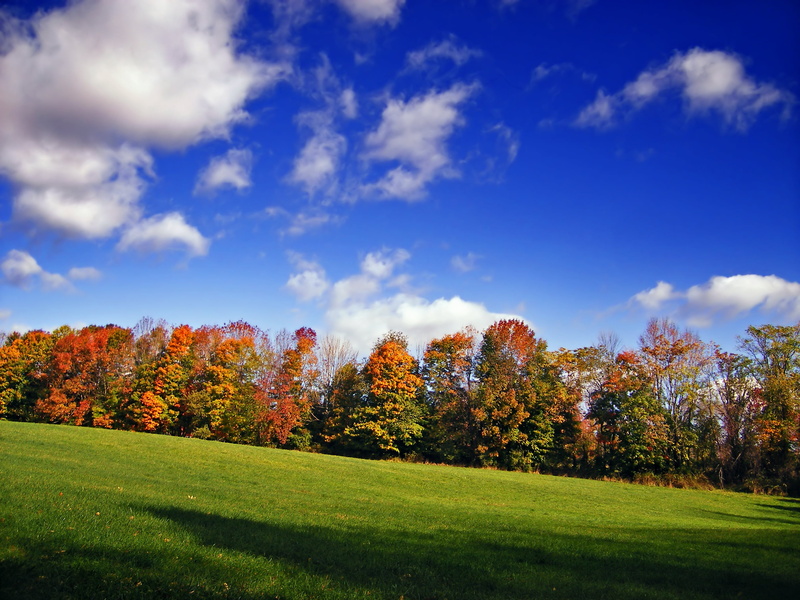 bright light, creative commons, rural Scene, meadow, landscape, scenics, clouds, leaf, green, New Jersey, Warren County, outdoors, Frelinghuysen Township