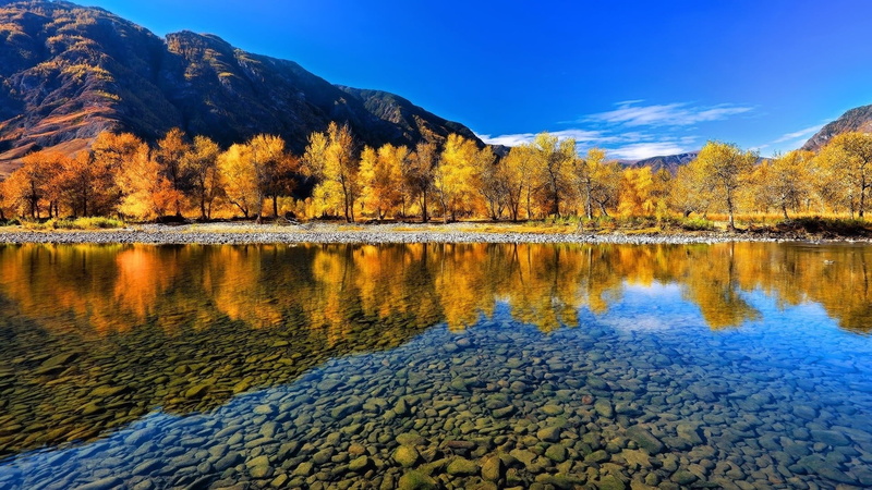 tree, tranquil scene, no people, mountains, 1080P, landscape, outdoors, tranquility, plant, lake, sky, Altai Mountains, scenics - nature, nature, non-urban scene