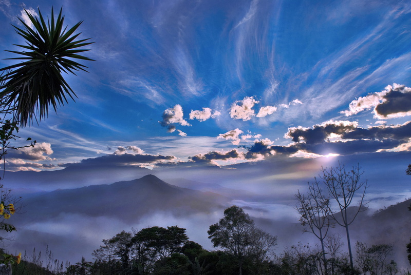 azul, tropical climate, plant, silhouette, scenics - nature, panorama, coconut palm tree, palm tree, tree, palm leaf, environment, nube, day, 4K, no people