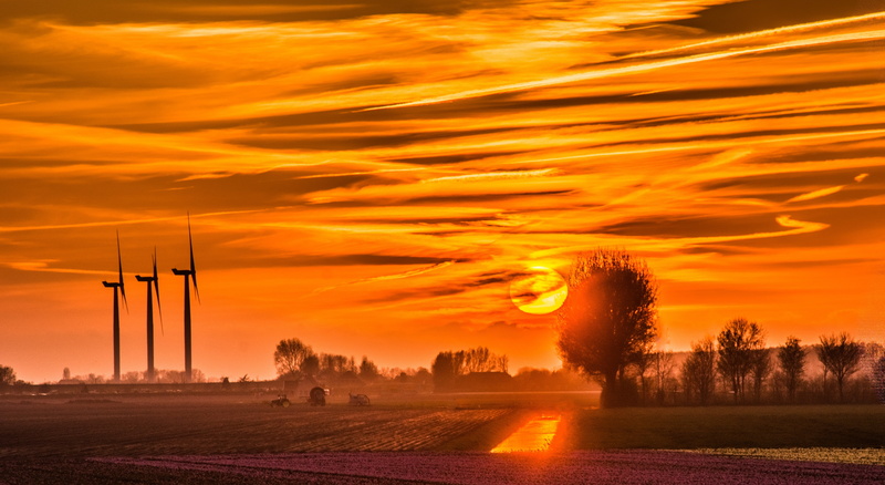 tranquility, sun, rural scene, bonito, naturaleza, environment, 4K, nubes, cloud - sky, plant, molinos, nature, tranquil scene, field, land, no people