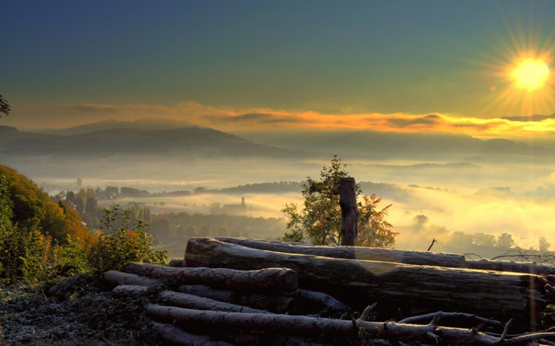 troncos, sun, non-urban scene, environment, outdoors, naturaleza, land, landscape, no people, tree, sky, nubes, sunlight, 1080P, amanecer, fog, scenics - nature