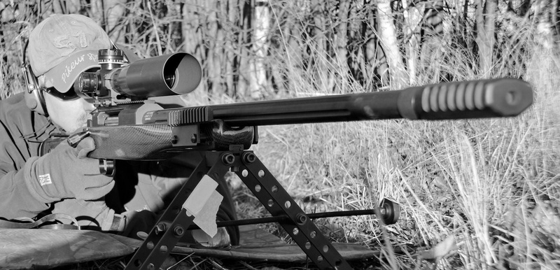 protection, no people, metal, rifle, government, war, sniper rifle, land, fighting, security, military, nature, field, plant, gun, aggression, weapon, LobaevArms