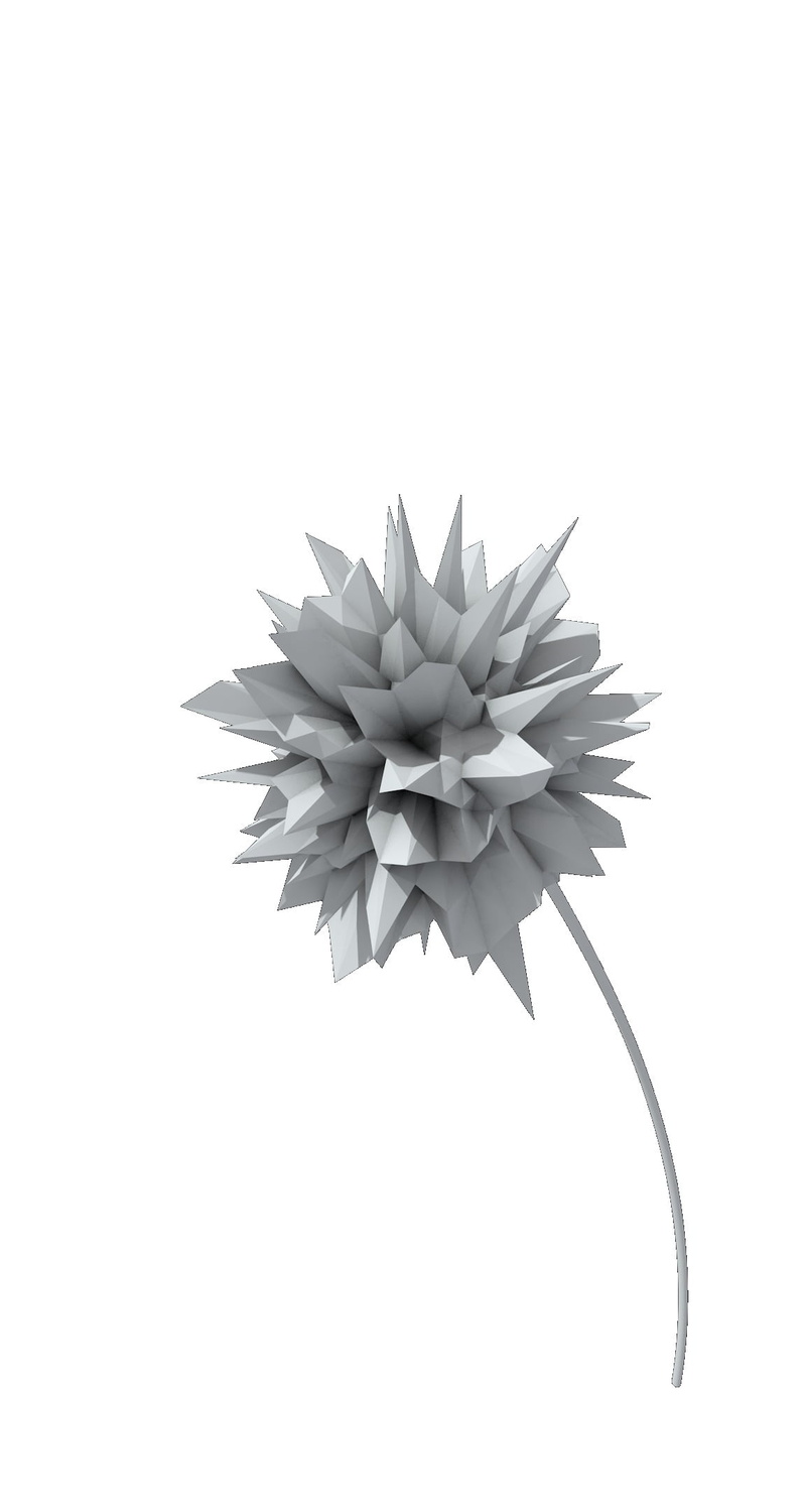flowering plant, plants, petal, white color, 1080P, inflorescence, flowers, no people, render, creativity, plant, flower head, close-up, beauty in nature
