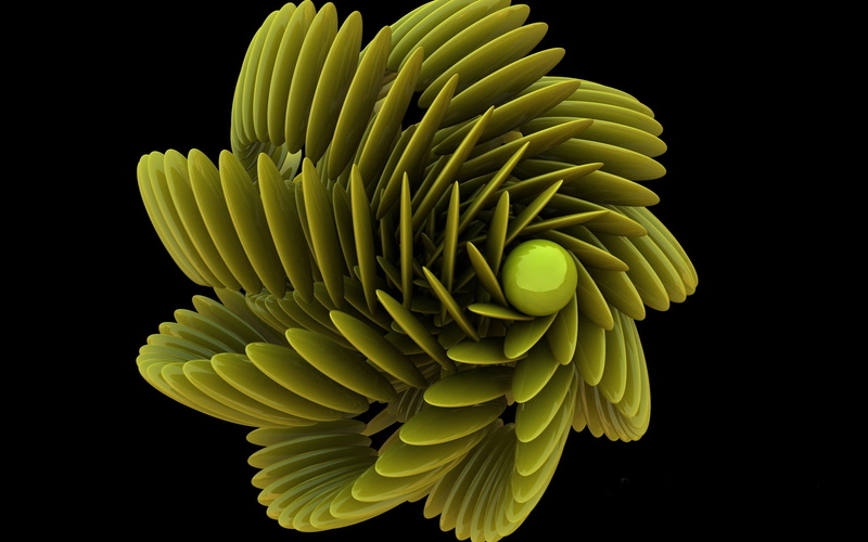 flower, freshness, illusion, inflorescence, close-up, abstract, black background, shadow, vector, compound, spiral, yellow, nature, fragility, symbol, petal