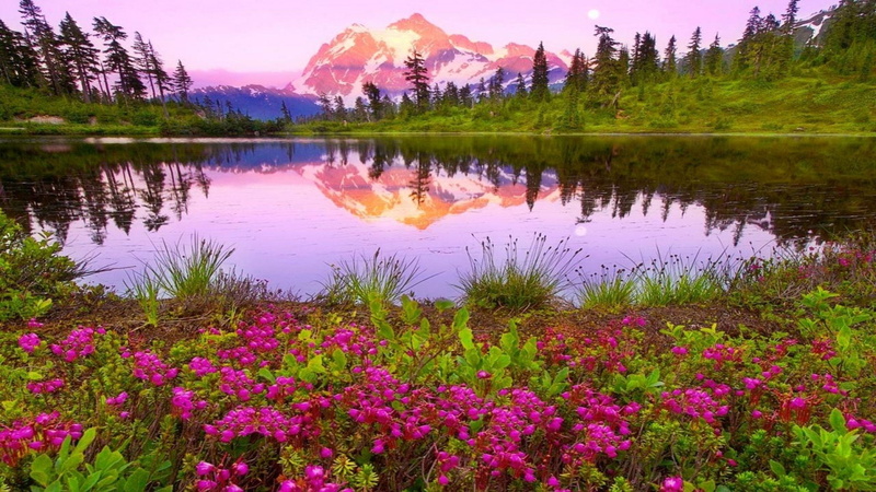 sky, px, non-urban scene, idyllic, water, tree, chevrolet, art, x, day, outdoors, utopia, no people, scenics - nature, reflection, tranquility, nature