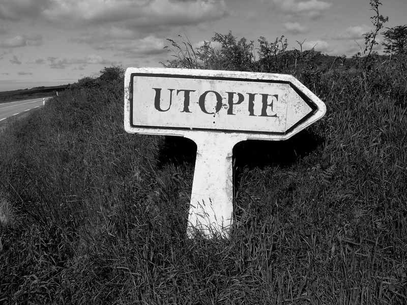 information sign, sign, western script, information, tree, plant, non-western script, 2K, grass, utopie, guidance, sky, field, script, day, nature, photo