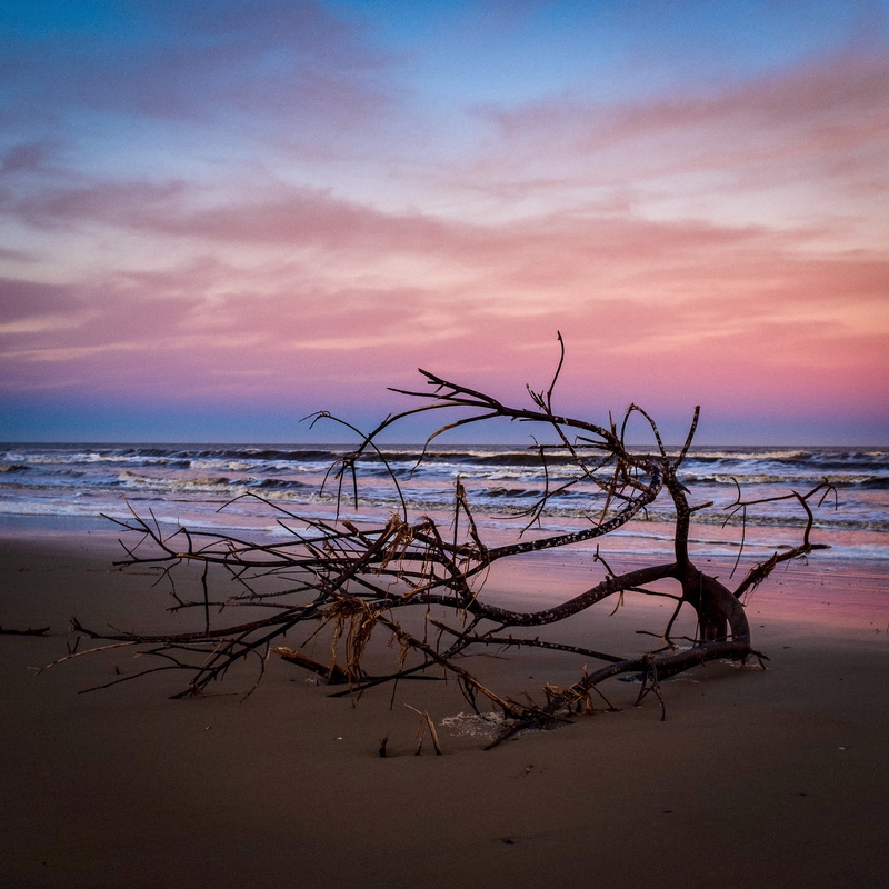 horizon, driftwood, horizon over water, no people, 4K, nature, cloud - sky, idyllic, sand, beauty in nature, scenics - nature, sea, tranquil scene, landscape