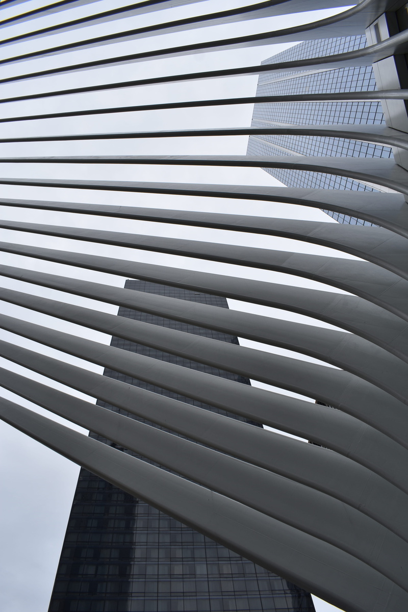 pattern, repetition, perspective, built structure, office, no people, sunlight, outdoors, window shade, blinds, architecture, staircase, low angle view