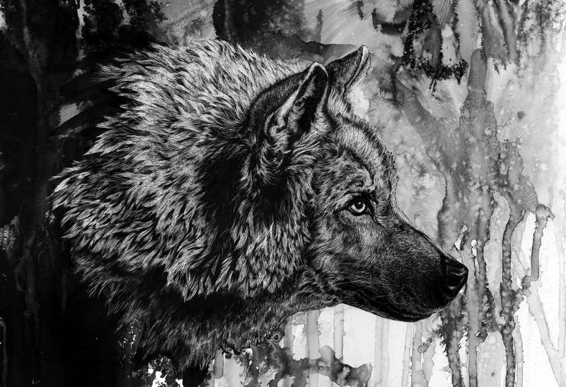 animal themes, looking, animal head, mammal, 720P, vertebrate, pets, dog, outdoors, focus on foreground, looking away, ink, wolf, domestic, side view