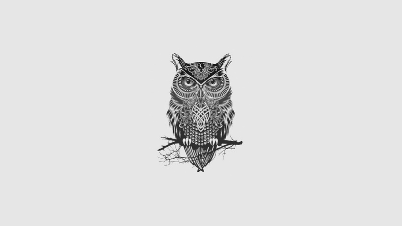 owl, minimalism, 1080P, monochrome, tattoo