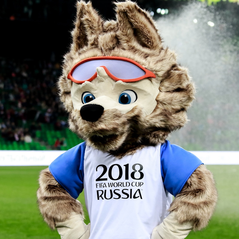 warm clothing, mascot, portrait, one person, fun, humor, waist up, childhood, focus on foreground, smiling, winter, fifa, cheerful, sign, russia, football