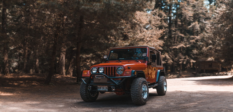 trees, transportation, land vehicle, plant, day, jinrikisha, front angle view, Jeep, road, city, taxi, vehicle, forest, no people, land, travel, rickshaw
