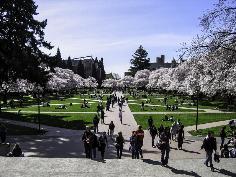 sky, group of people, outdoors, famous Place, building exterior, nature, city, leisure activity, University of Washington, tree, real people, spring, trees