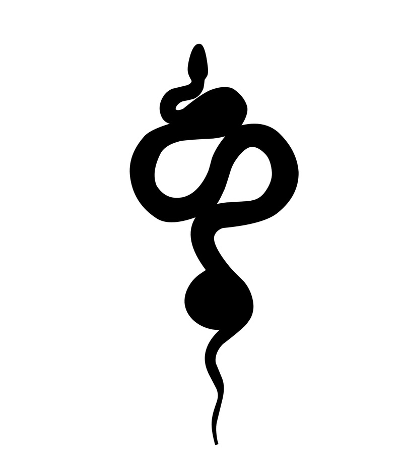pattern, art and craft, cobra, illustrated, shape, reptile, wildlife, fascinator, 2K, studio shot, dangerous, amphibian, black color, deadly, creepy, snake