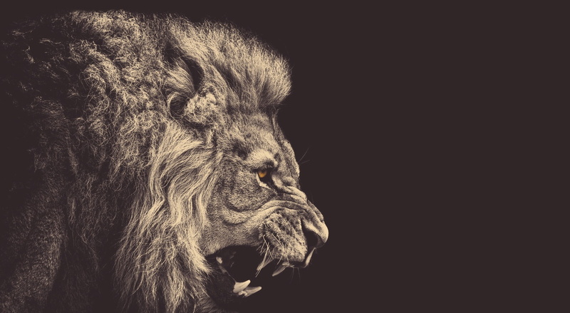 1080P, Roar, Creative, Aero
