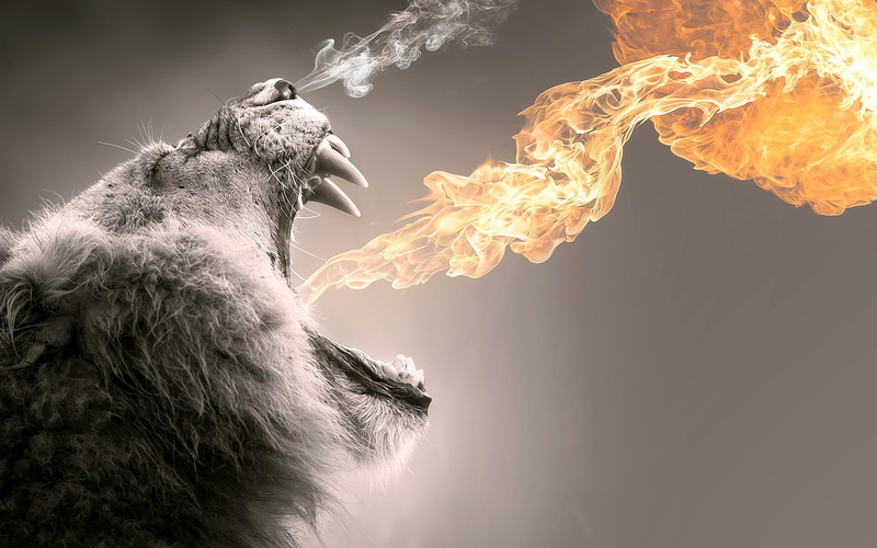 roaring, flames, 1080P