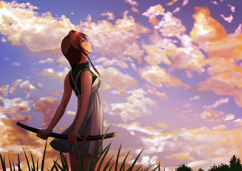 sky, clouds, brown, the sky, representation, katana, grass, haired, girl, day, low angle view, female likeness, sculpture, outdoors, hat, human representation