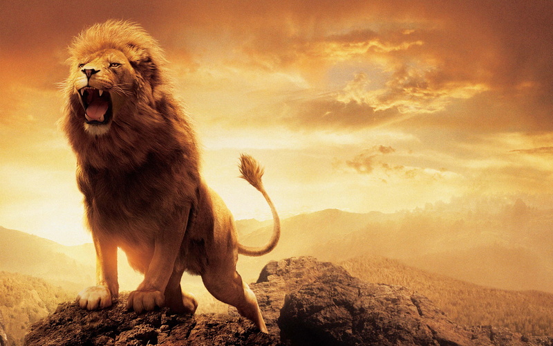 extreme Terrain, mountain, large, Leo, fur, outdoors, animal body part, sky, vertebrate, The Chronicles Of Narnia, no People, carnivore, one animal, cloud - sky