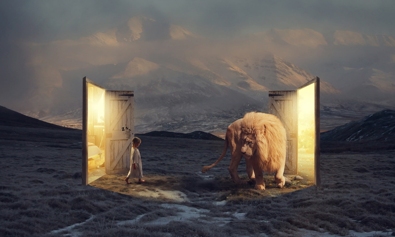 Sleepwalk, Narnia, 2K, Cute girl, Lion