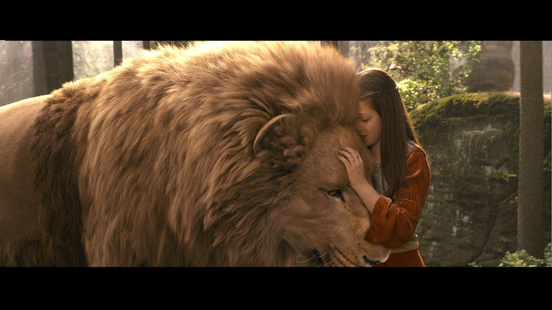 lion, domestic animals, adult, one person, leisure activity, 1narnia, narnia, domestic, Disney, mammal, nature, one animal, series, females, fantasy, chronicles