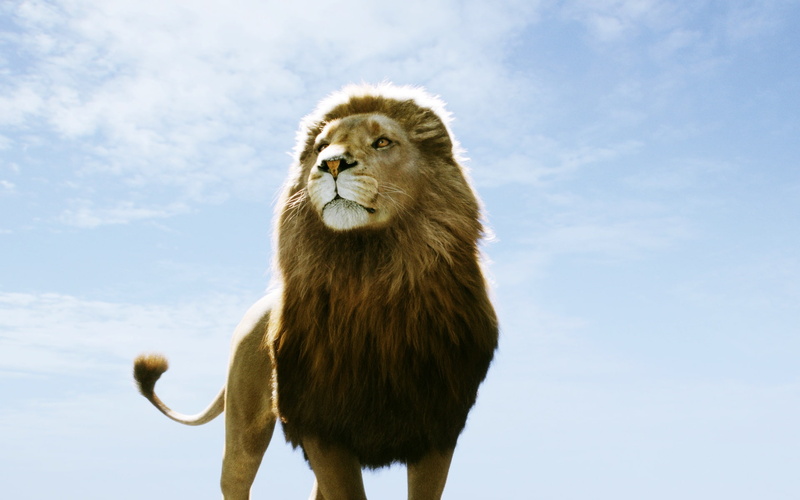 dawn, narnia, treader, 1080P, aslan