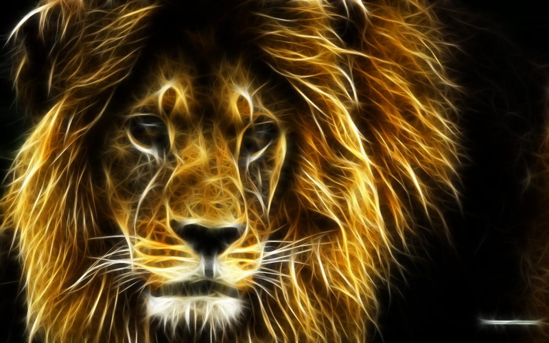 animal head, close-up, 720P, cat, animal, no people, focus on foreground, carnivora, nature, animal themes, vertebrate, Fractalius, one animal, feline