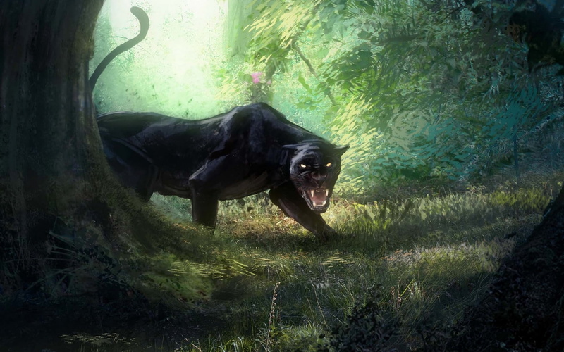 Cats, 1080P, Black Panther, Roar