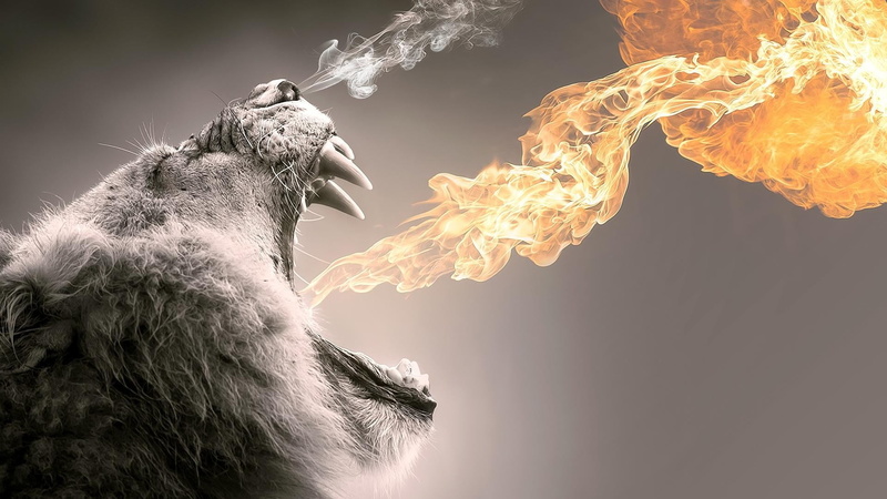 abstract, close-up, pets, smoke - physical structure, black background, one animal, studio shot, nature, fire, lion, copy space, mouth open, 1080P, poster