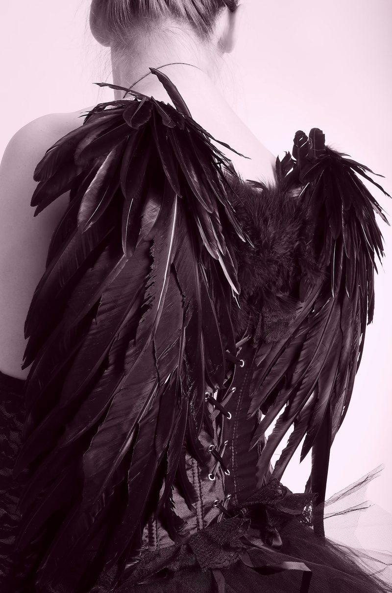 angel, long hair, hair, close-up, one person, 4K, domestic, outdoors, black, vertebrate, adult, livestock, feather, real people, hairstyle, woman, wearing