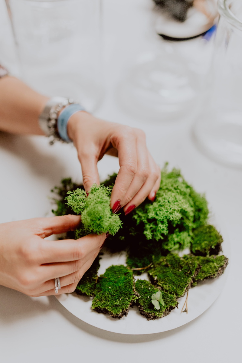 diy, human hand, forest, hand, adult, green color, indoors, broccoli, healthy eating, 4K, food, nature, moss, plants, vegetable, preparation, wellbeing