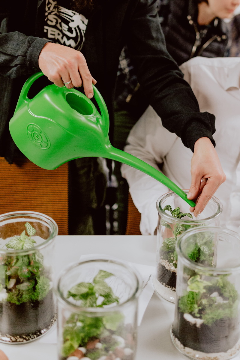 real people, 2K, table, drinking glass, freshness, mojito, nature, container, indoors, hand, diy, drink, terrarium, plants, greenhouse, building, holding