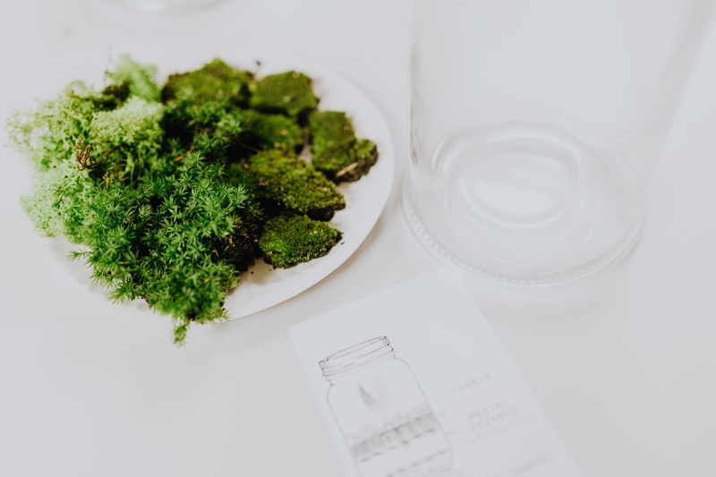 studio shot, white color, no people, green color, drinking glass, moss, crockery, green, broccoli, building, jar, wellbeing, indoors, rainforest, nature