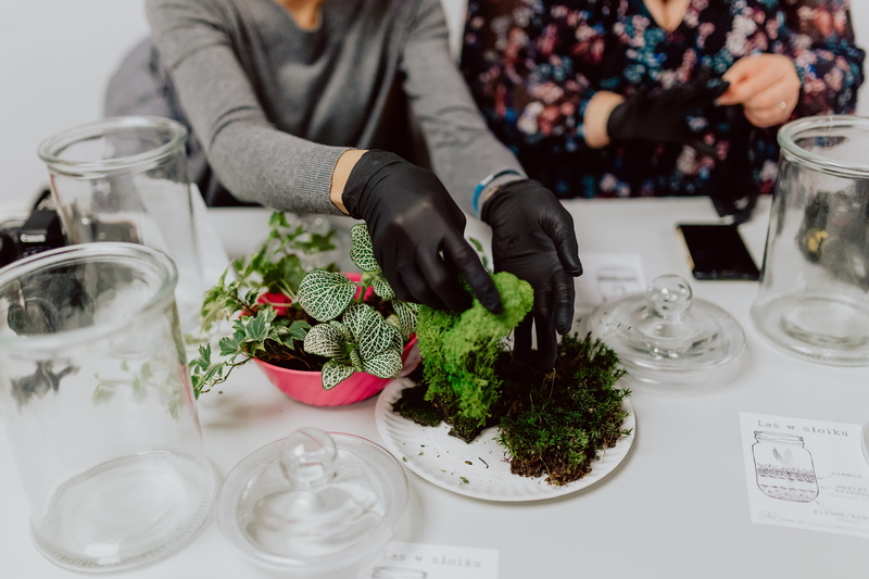 women, glass, building, moss, jar, do it yourself, lifestyles, nature, bonsai, terrarium, preparation, diy, 5K, food and drink, business, garden, table