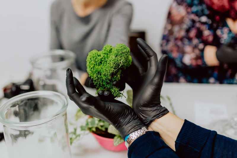 leisure activity, glass, diy, close-up, human limb, 4K, terrarium, rainforest, focus on foreground, indoors, hobby, midsection, females, bonsai, garden