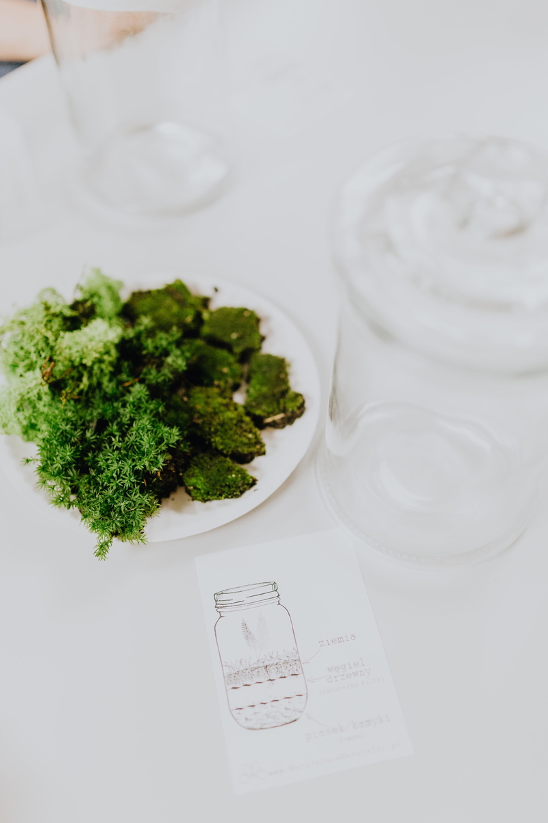 greenhouse, jar, vegetable, forest, table, drinking glass, healthy eating, garden, diy, rainforest, dairy product, food, bonsai, plants, 5K, wellbeing