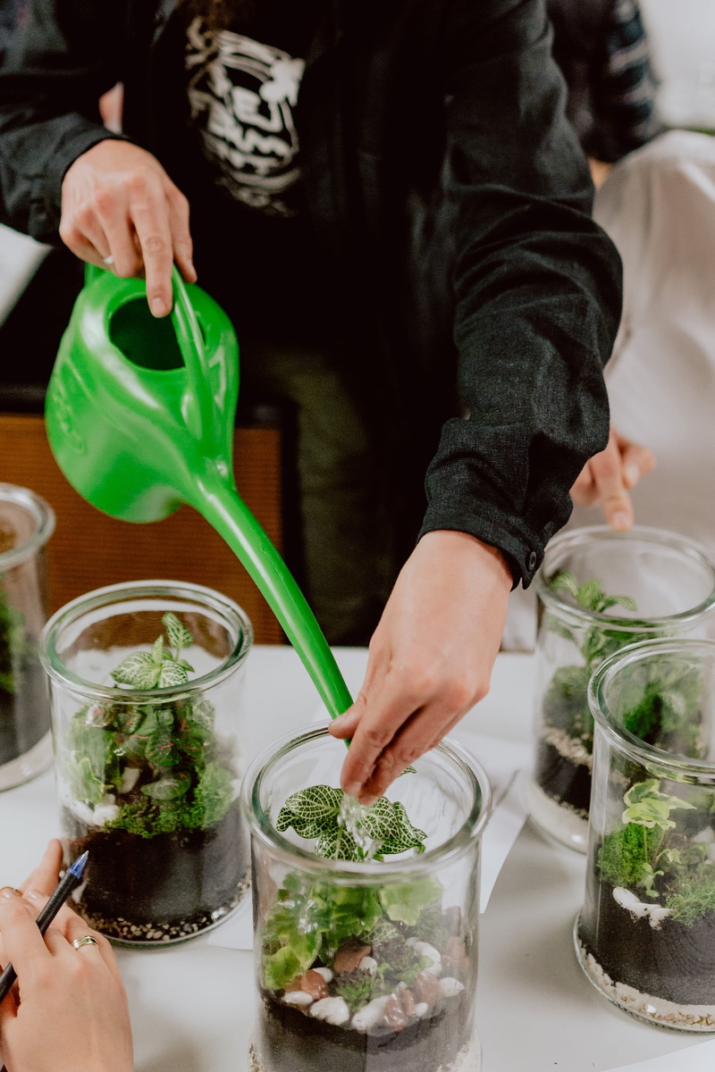 food, lifestyles, 2K, real people, preparing food, food and drink, building, plant, mint leaf - culinary, nature, bonsai, do it yourself, container, plant part