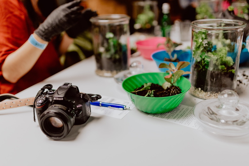 glass, plants, holding, do it yourself, leaf, nature, table, creativity, jar, forest, close-up, preparation, building, moss, bonsai, household equipment